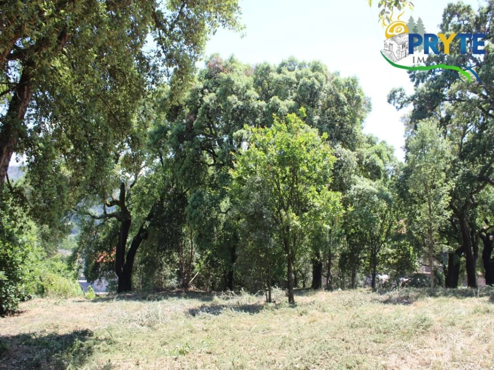 Terreno para Venda em Castanheira de Pêra e Coentral Foto 3
