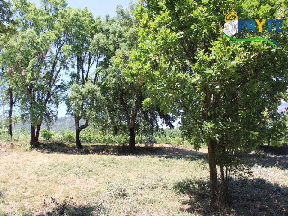 Terreno para Venda em Castanheira de Pêra e Coentral Foto 4
