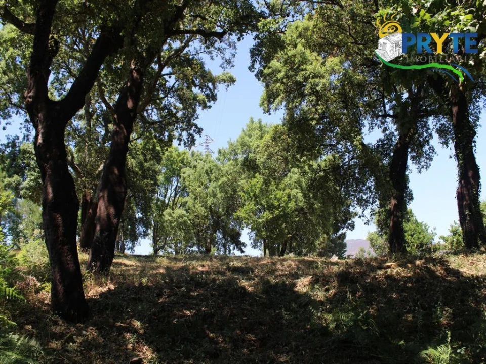 Terreno para Venda em Castanheira de Pêra e Coentral Foto 5