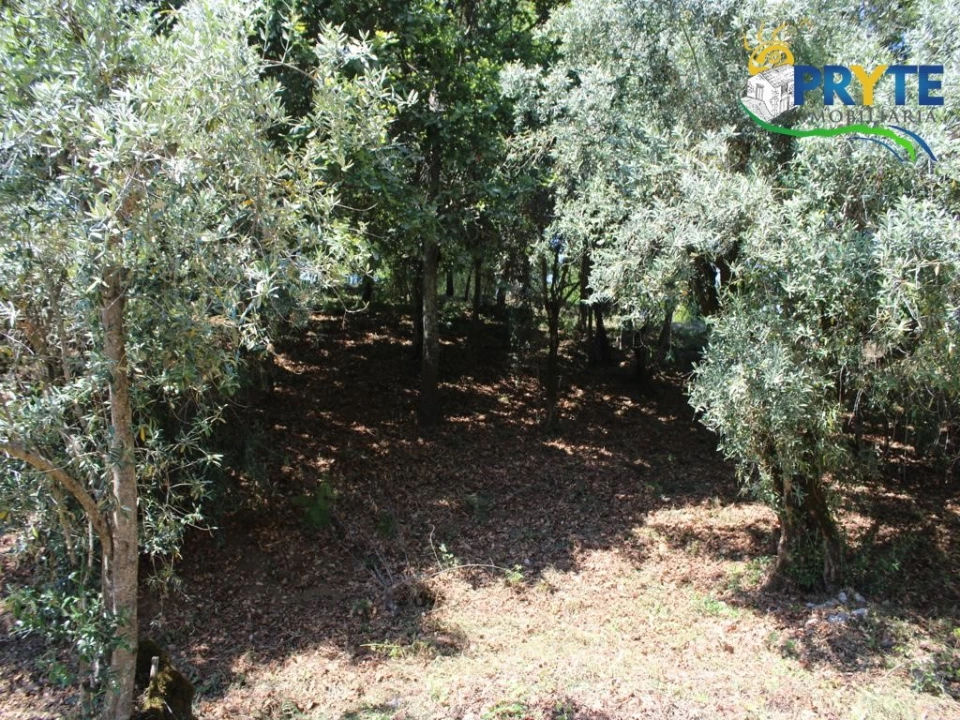 Terreno para Venda em Castanheira de Pêra e Coentral Foto 9