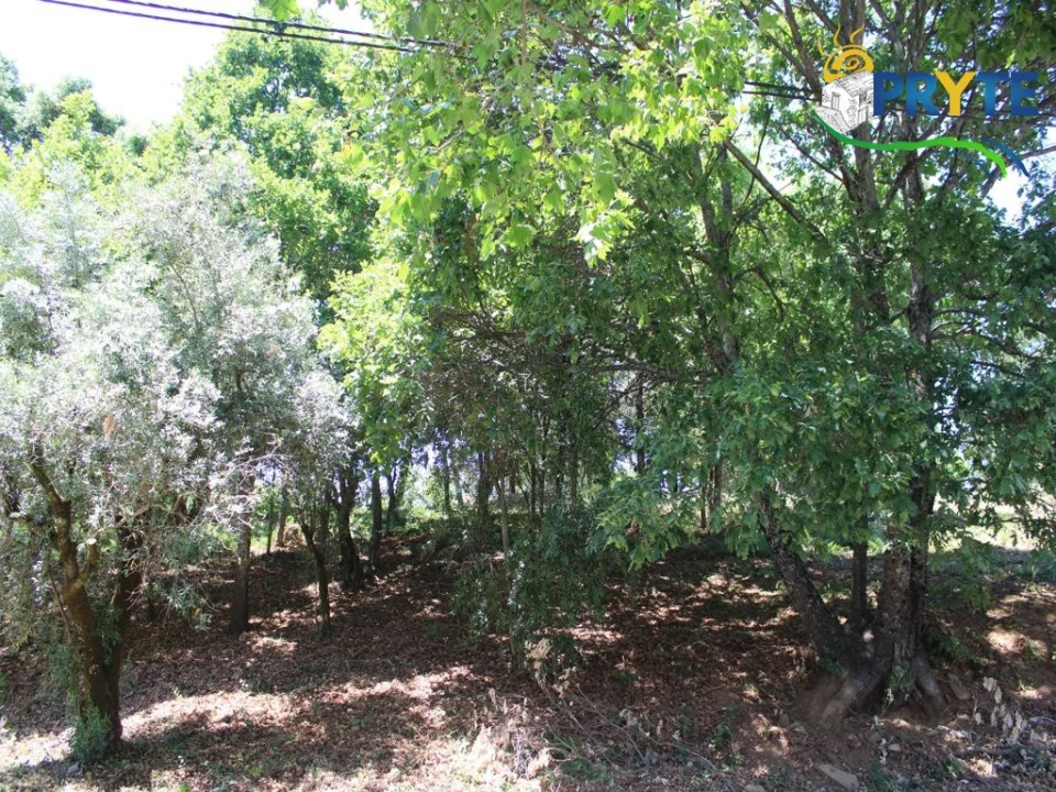 Terreno para Venda em Castanheira de Pêra e Coentral Foto 13