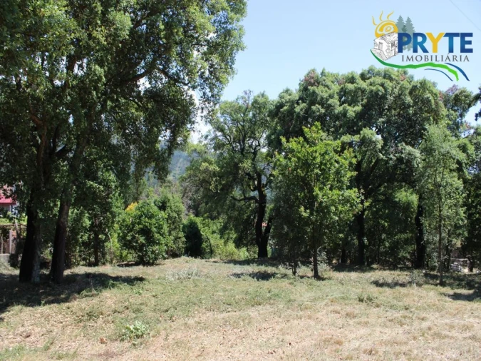 Terreno para Venda em Castanheira de Pêra e Coentral Foto 2