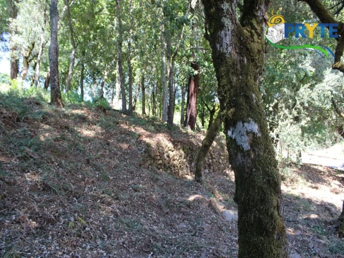 Terreno para Venda em Castanheira de Pêra e Coentral Foto 7