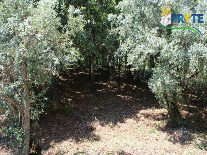 Terreno para Venda em Castanheira de Pêra e Coentral Foto 9