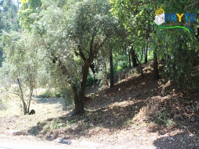 Terreno para Venda em Castanheira de Pêra e Coentral Foto 10