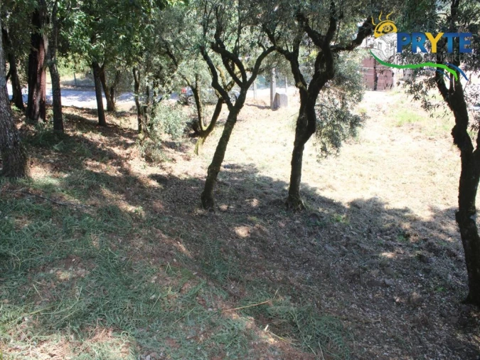 Terreno para Venda em Castanheira de Pêra e Coentral Foto 11
