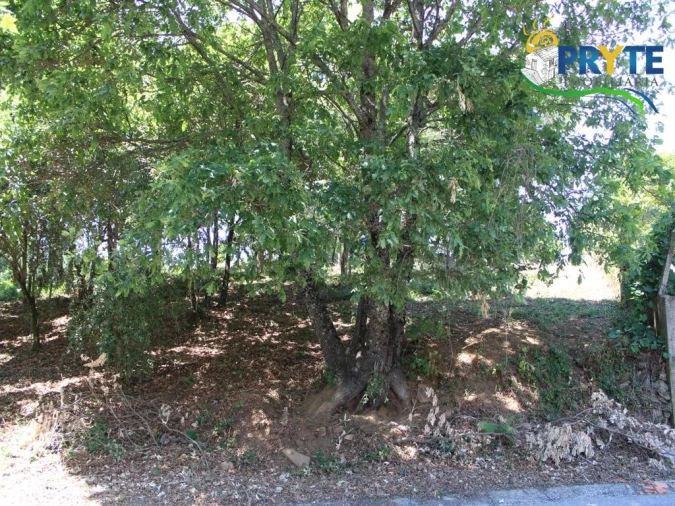 Terreno para Venda em Castanheira de Pêra e Coentral Foto 12
