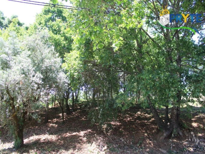 Terreno para Venda em Castanheira de Pêra e Coentral Foto 13