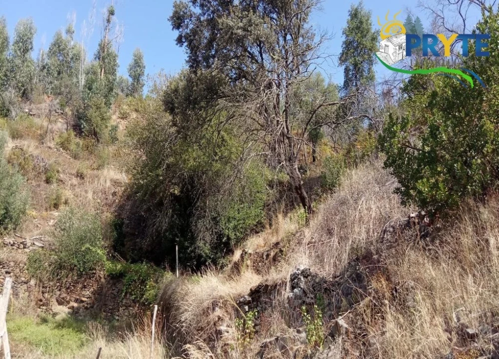 Terreno para Venda em Madeirã Foto 11