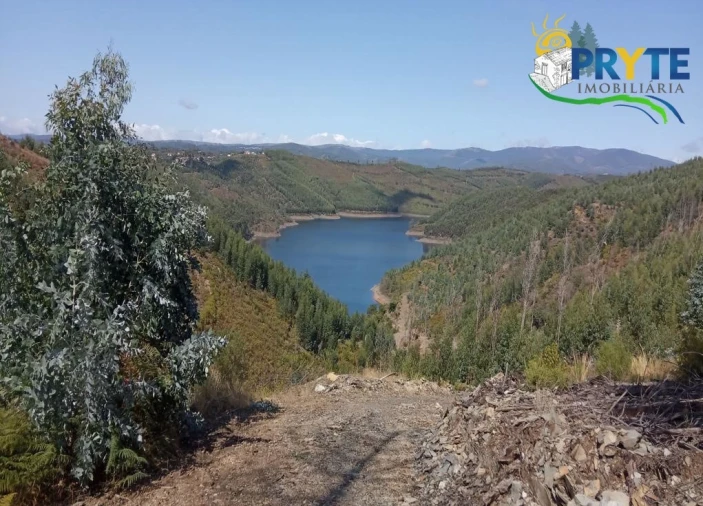 Terreno para Venda em Madeirã Foto 2