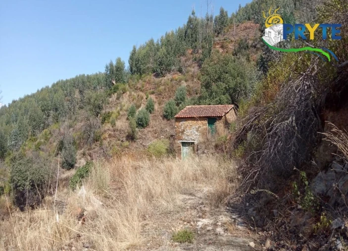 Terreno para Venda em Madeirã Foto 3