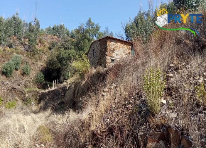 Terreno para Venda em Madeirã Foto 4