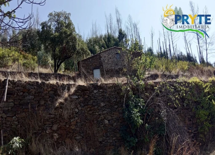 Terreno para Venda em Madeirã Foto 10