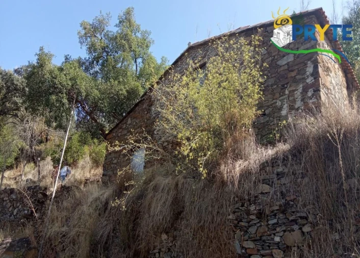 Terreno para Venda em Madeirã Foto 14