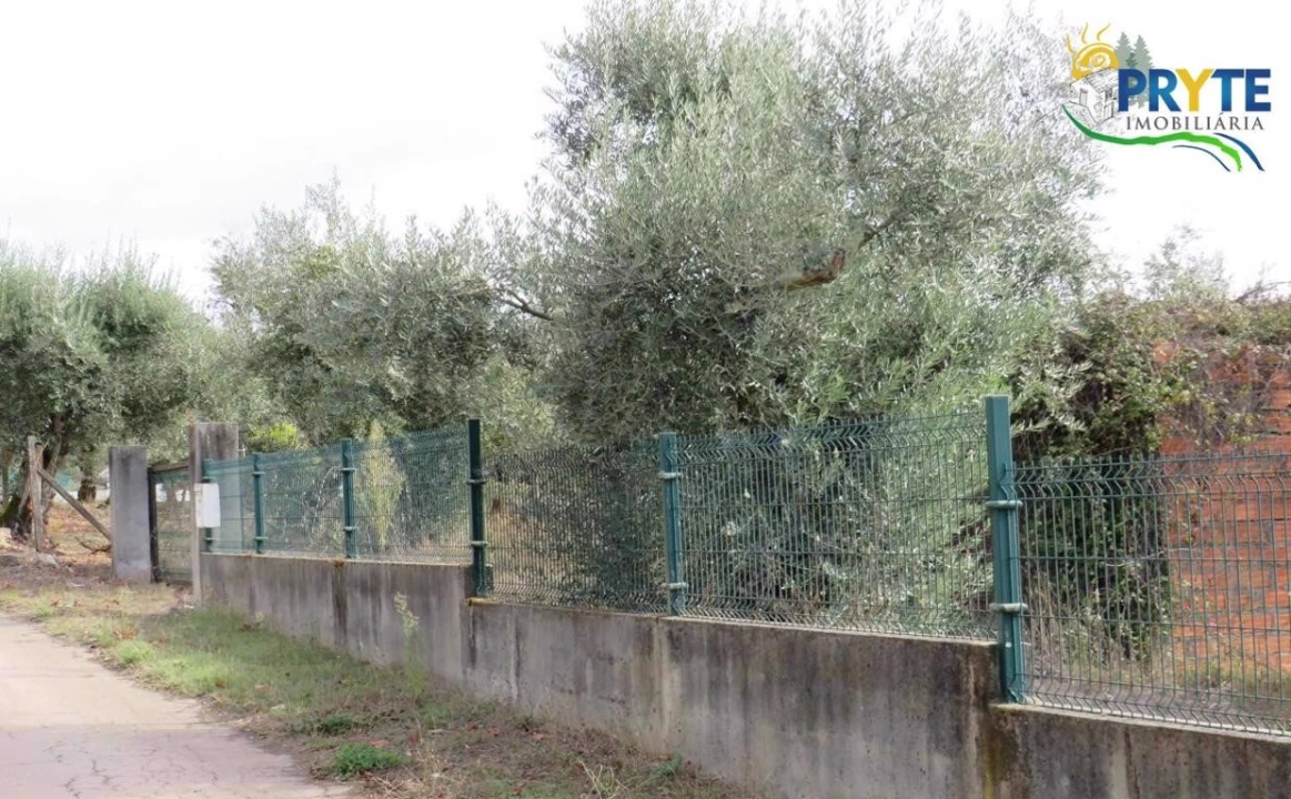 Terreno para Venda em Cabeçudo Foto 12