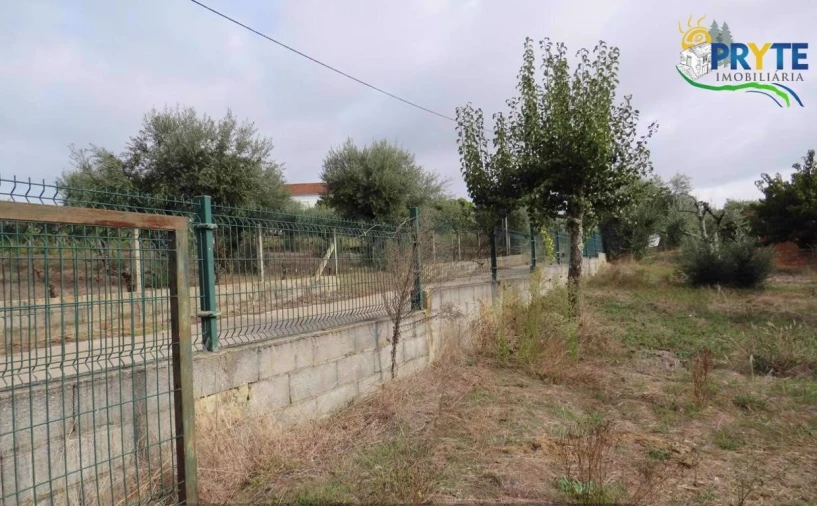 Terreno para Venda em Cabeçudo Foto 10