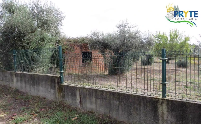 Terreno para Venda em Cabeçudo