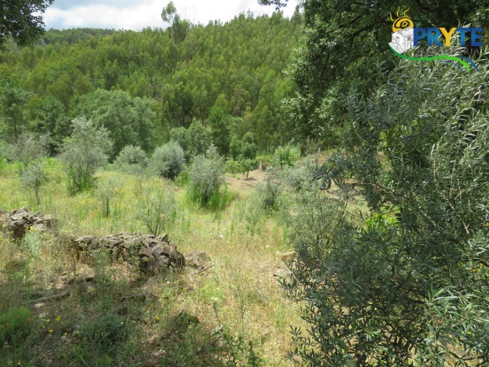 Quinta para Venda em Troviscal Foto 9