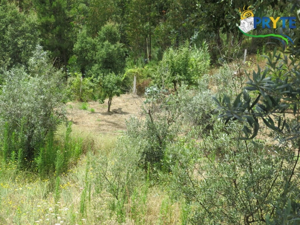 Quinta para Venda em Troviscal Foto 10