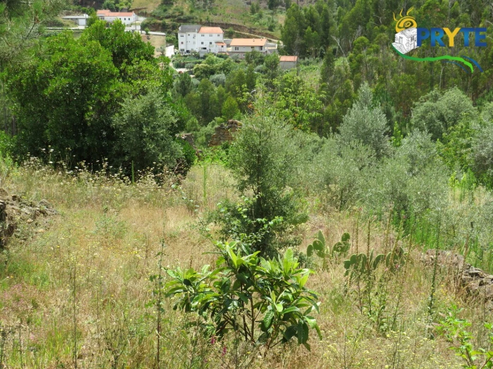 Quinta para Venda em Troviscal Foto 11