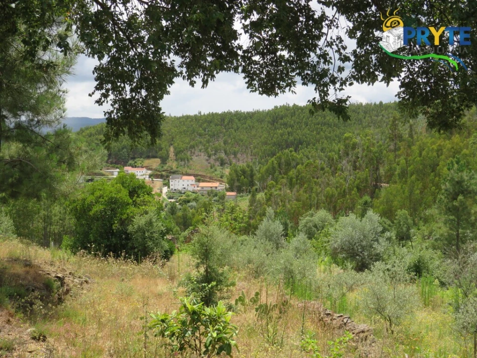 Quinta para Venda em Troviscal Foto 14