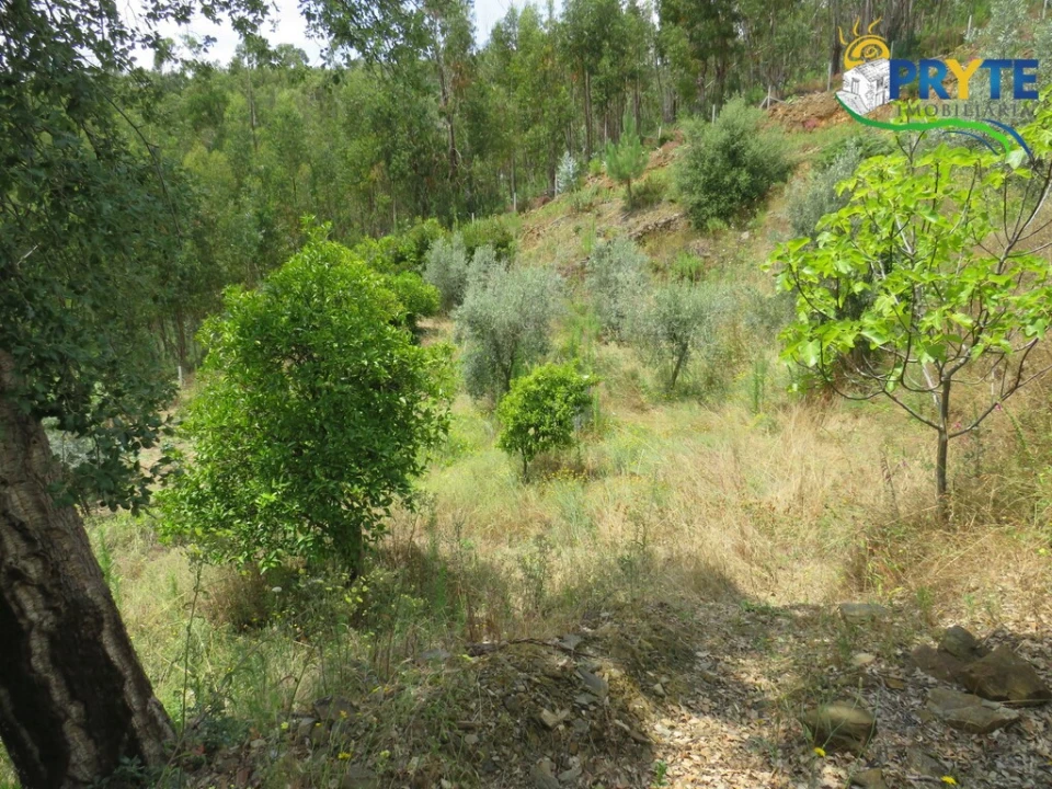 Quinta para Venda em Troviscal Foto 16