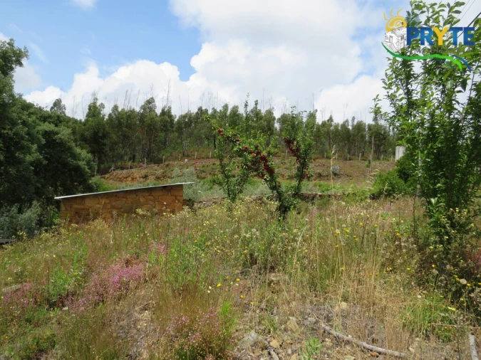 Quinta para Venda em Troviscal Foto 2