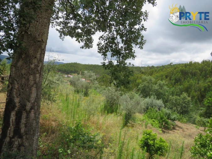 Quinta para Venda em Troviscal Foto 3