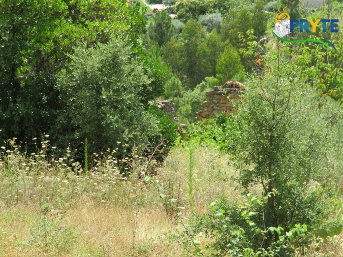 Quinta para Venda em Troviscal Foto 12