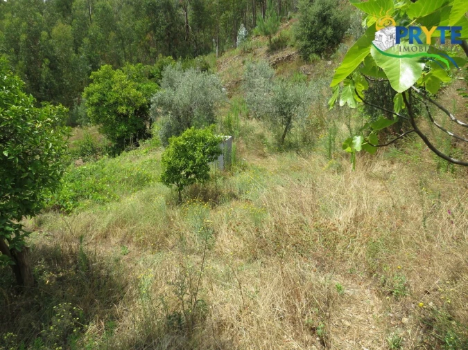 Quinta para Venda em Troviscal Foto 17