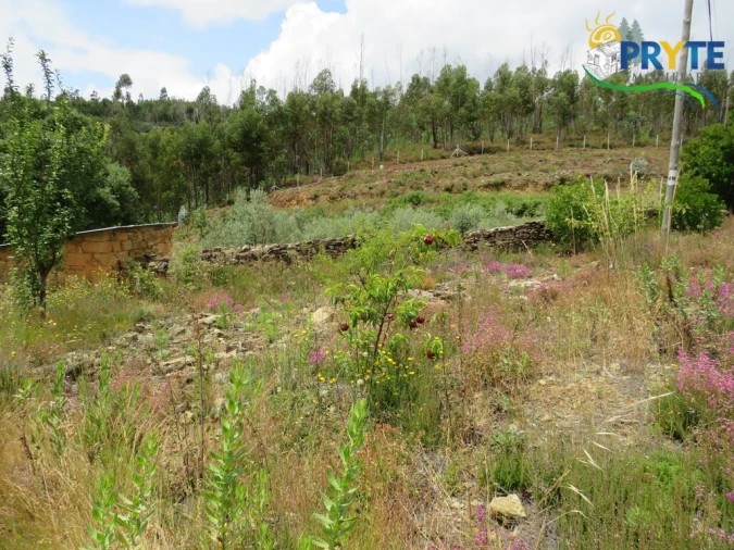Quinta para Venda em Troviscal Foto 20
