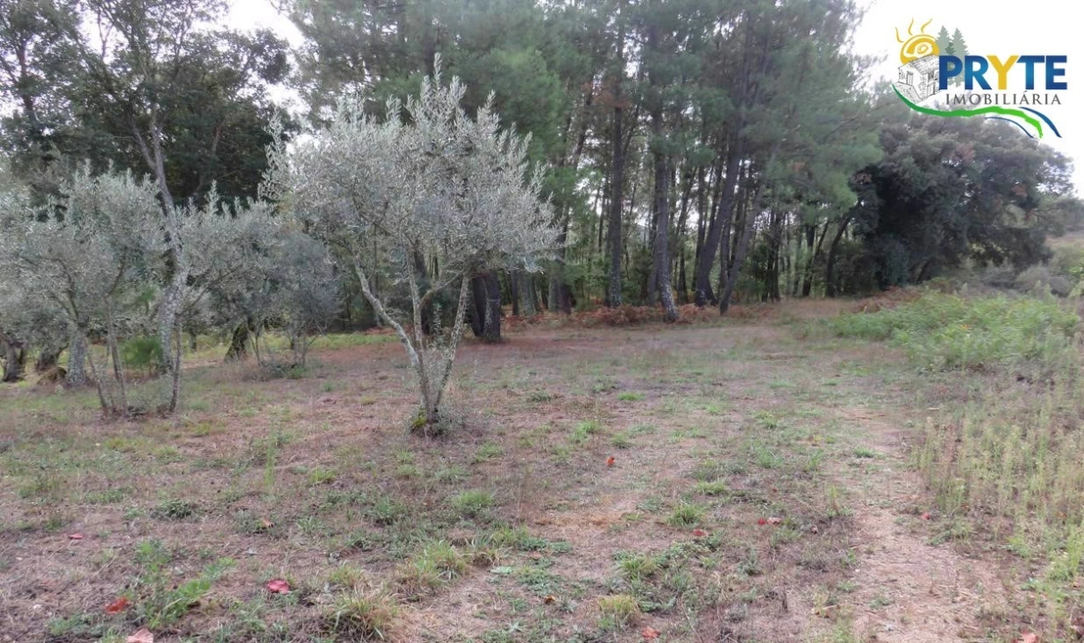 Terreno para Venda em Cabeçudo Foto 2