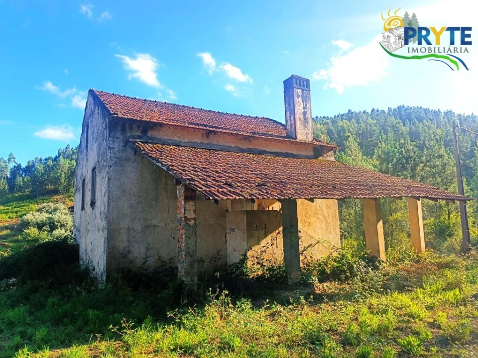 Quinta T3 para Venda em Cernache do Bonjardim, Nesperal e Palhais Foto 6