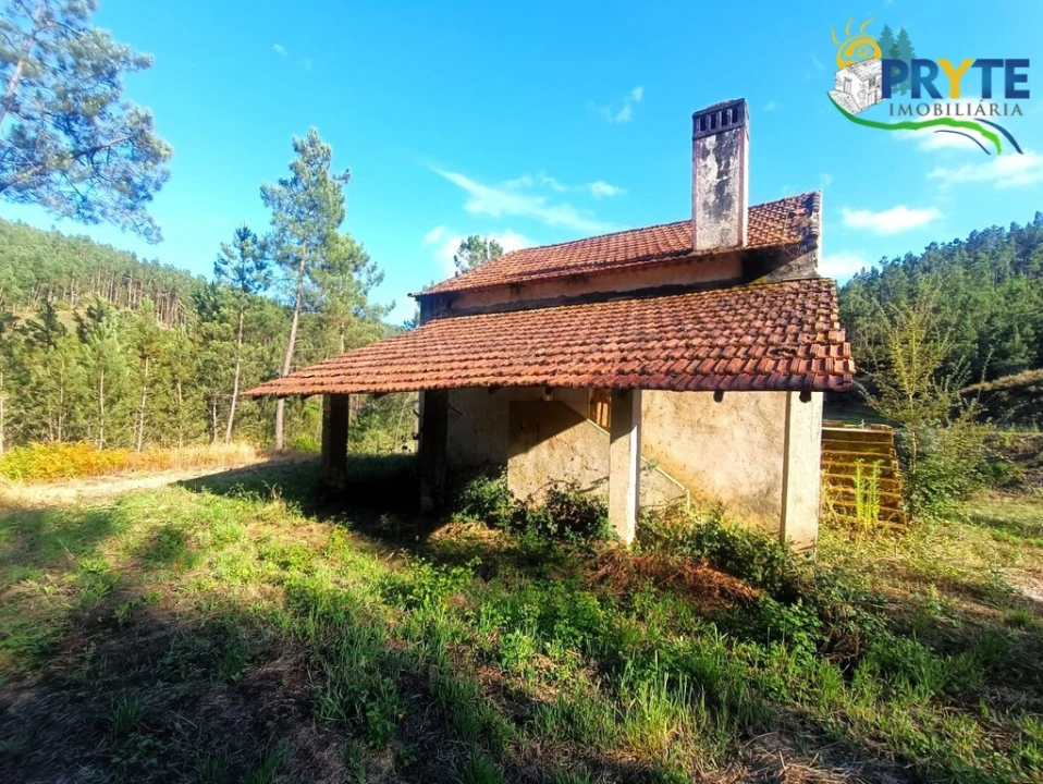 Quinta T3 para Venda em Cernache do Bonjardim, Nesperal e Palhais Foto 11