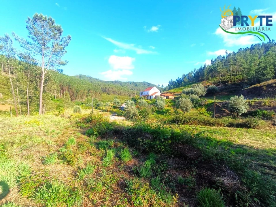 Quinta T3 para Venda em Cernache do Bonjardim, Nesperal e Palhais Foto 26