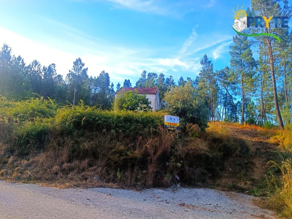 Quinta T3 para Venda em Cernache do Bonjardim, Nesperal e Palhais Foto 29