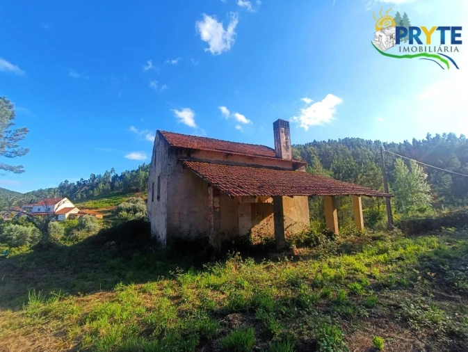 Quinta T3 para Venda em Cernache do Bonjardim, Nesperal e Palhais Foto 5