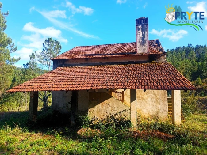 Quinta T3 para Venda em Cernache do Bonjardim, Nesperal e Palhais Foto 9