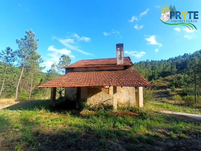 Quinta T3 para Venda em Cernache do Bonjardim, Nesperal e Palhais Foto 10