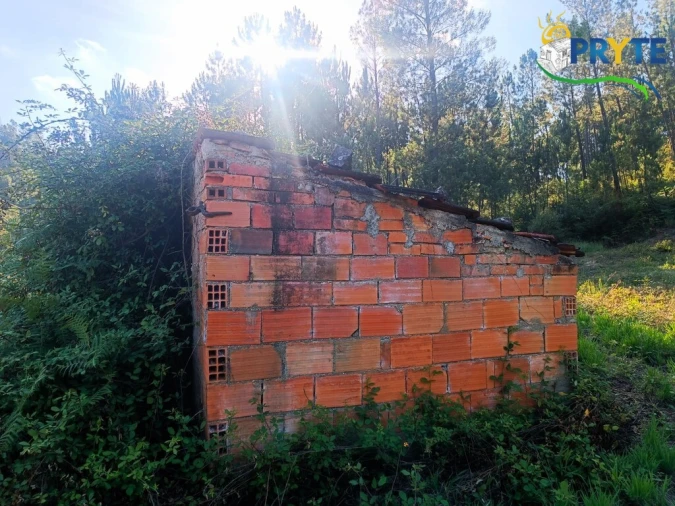 Quinta T3 para Venda em Cernache do Bonjardim, Nesperal e Palhais Foto 21