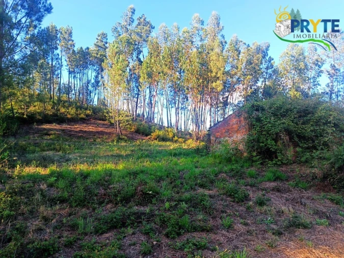 Quinta T3 para Venda em Cernache do Bonjardim, Nesperal e Palhais Foto 23
