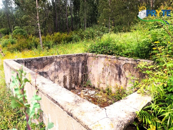 Quinta T3 para Venda em Cernache do Bonjardim, Nesperal e Palhais Foto 25