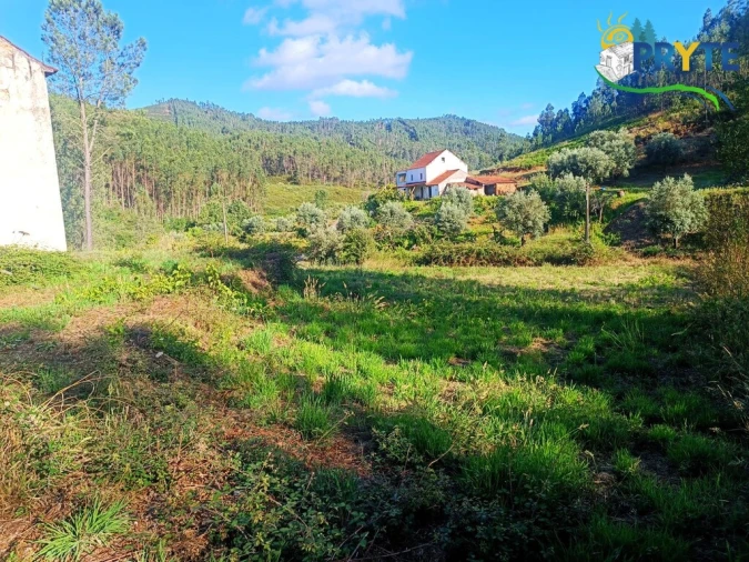 Quinta T3 para Venda em Cernache do Bonjardim, Nesperal e Palhais Foto 27
