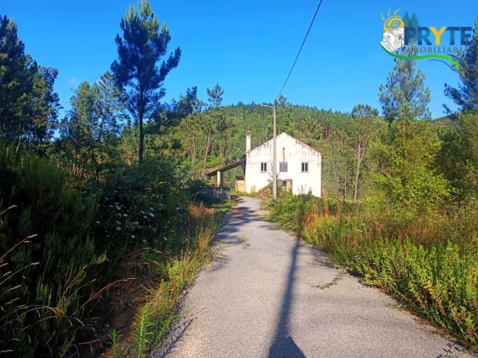Quinta T3 para Venda em Cernache do Bonjardim, Nesperal e Palhais Foto 28