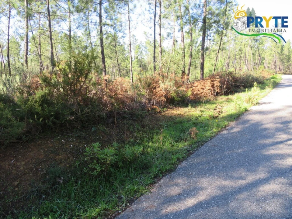 Terreno para Venda em Cumeada e Marmeleiro Foto 1