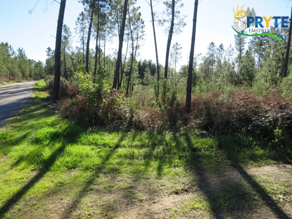 Terreno para Venda em Cumeada e Marmeleiro Foto 3