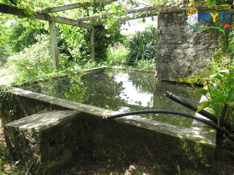 Quinta T4 para Venda em Cernache do Bonjardim, Nesperal e Palhais Foto 5