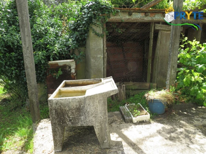 Quinta T4 para Venda em Cernache do Bonjardim, Nesperal e Palhais Foto 6