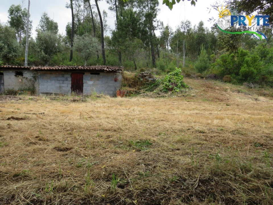 Quinta T2 para Venda em Mosteiro Foto 26