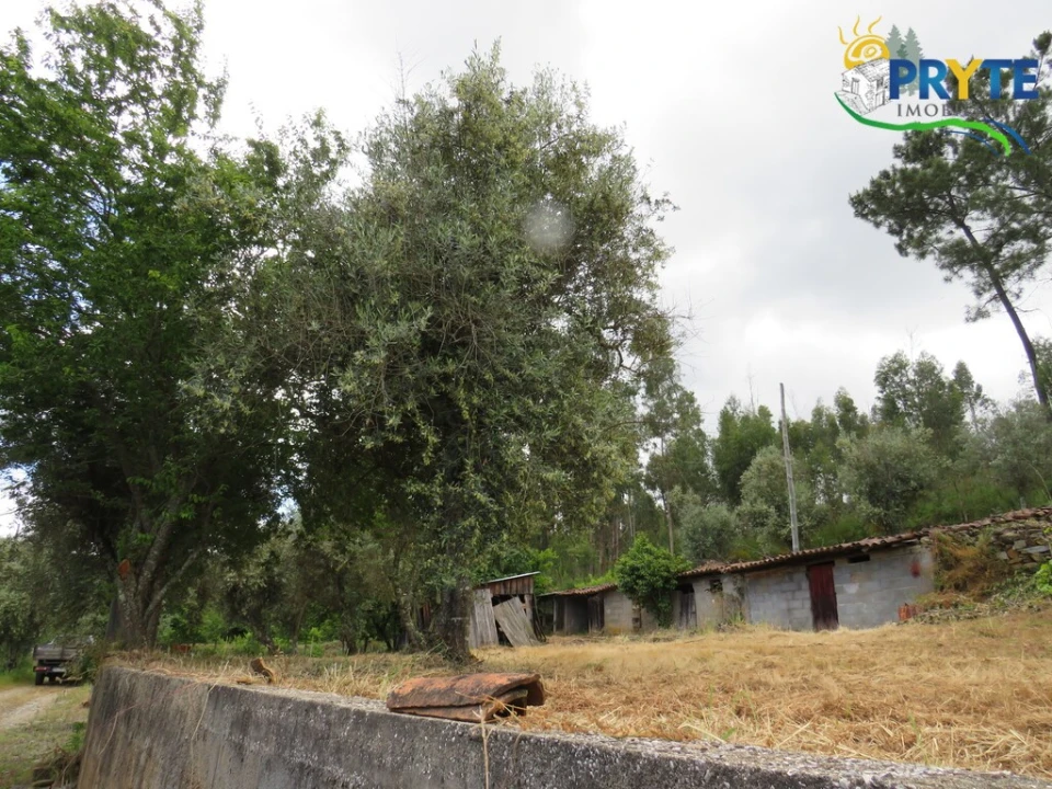 Quinta T2 para Venda em Mosteiro Foto 30